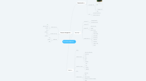 Mind Map: Економіка Бразилії