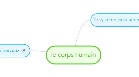 Mind Map: le corps humain