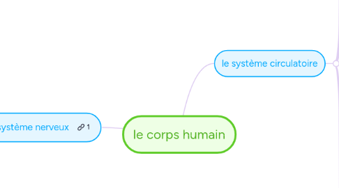 Mind Map: le corps humain