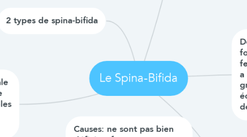Mind Map: Le Spina-Bifida