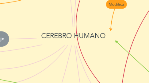 Mind Map: CEREBRO HUMANO