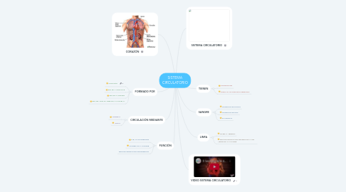 Mind Map: SISTEMA CIRCULATORIO