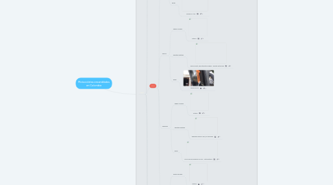 Mind Map: Motocicletas ensambladas en Colombia