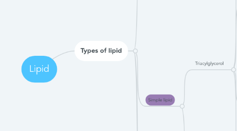 Mind Map: Lipid