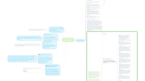 Mind Map: protocolo empresal