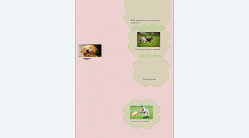 Mind Map: Cuidados de los  perros