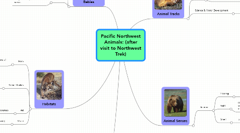 Mind Map: Pacific Northwest Animals: (after visit to Northwest Trek)