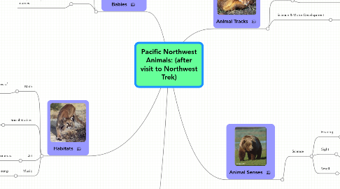 Mind Map: Pacific Northwest Animals: (after visit to Northwest Trek)