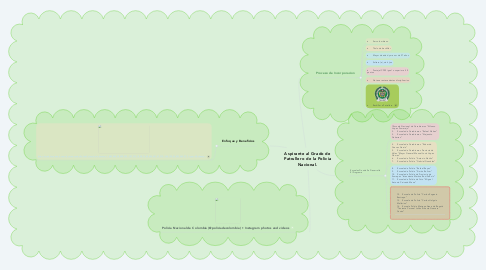 Mind Map: Aspirante al Grado de Patrullero de la Policia Nacional.