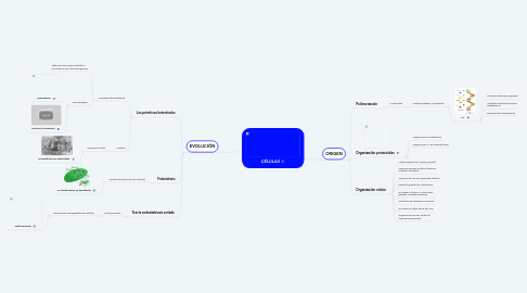 Mind Map: CÉLULAS