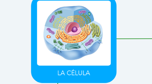 Mind Map: LA CÉLULA