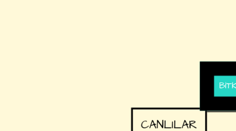 Mind Map: CANLILAR