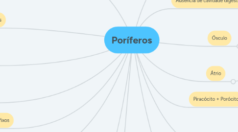 Mind Map: Poríferos