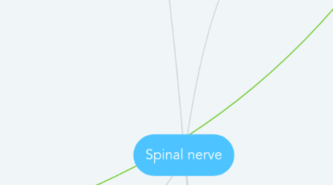 Mind Map: Spinal nerve