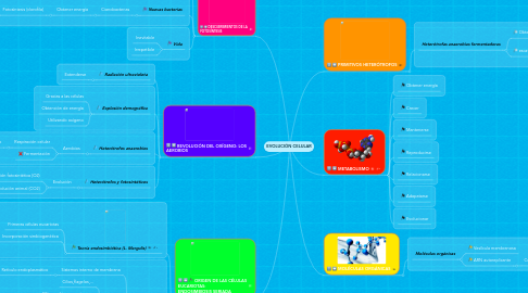 Mind Map: EVOLUCIÓN CELULAR