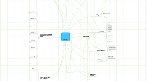 Mind Map: PUENTES