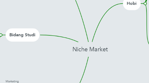 Mind Map: Niche Market