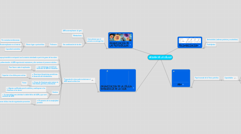 Mind Map: ORIGEN DE LA CÉLULA