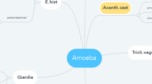 Mind Map: Amoeba
