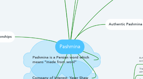 Mind Map: Pashmina