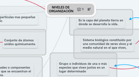 Mind Map: NIVELES DE  ORGANIZACIÓN