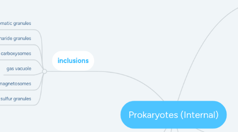 Mind Map: Prokaryotes (Internal)