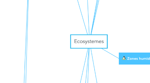 Mind Map: Ecosystemes