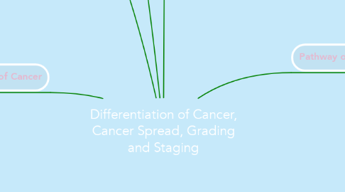 Mind Map: Differentiation of Cancer, Cancer Spread, Grading and Staging
