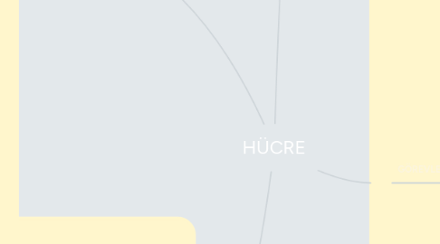 Mind Map: HÜCRE