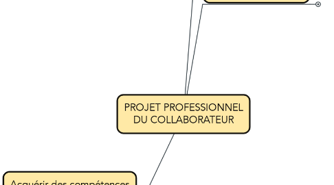 Mind Map: PROJET PROFESSIONNEL DU COLLABORATEUR