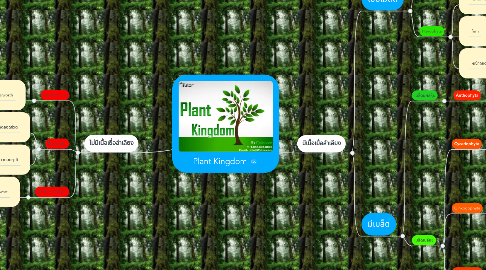 Mind Map: Plant Kingdom