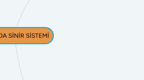 Mind Map: İNSANDA SİNİR SİSTEMİ