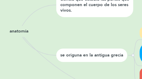 Mind Map: anatomía