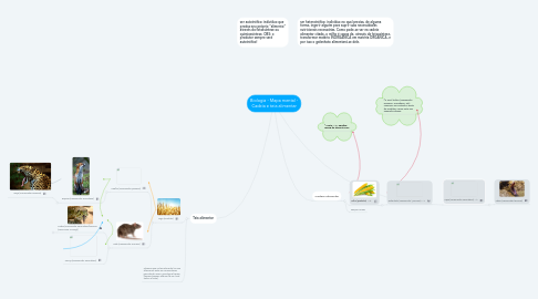 Mind Map: Biologia - Mapa mental - Cadeia e teia alimentar