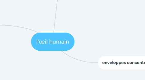 Mind Map: l'œil humain