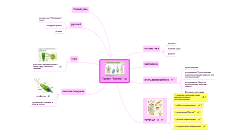 Mind Map: Проект "Клетка"