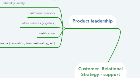 Mind Map: Customer  Relational Strategy - support functions view-