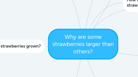 Mind Map: Why are some strawberries larger than others?