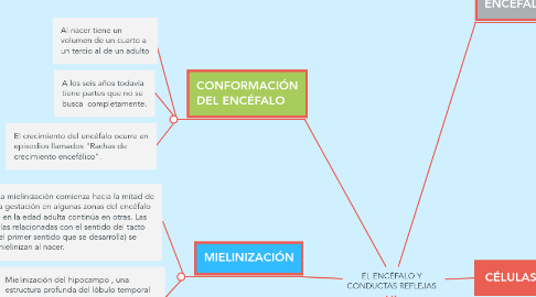 Mind Map: EL ENCÉFALO Y CONDUCTAS REFLEJAS