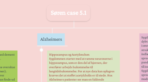 Mind Map: Søren case 5.1