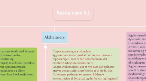 Mind Map: Søren case 5.1