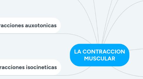 Mind Map: LA CONTRACCION MUSCULAR