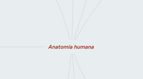 Mind Map: Anatomía humana