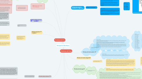 Mind Map: Teoría de los Meridianos