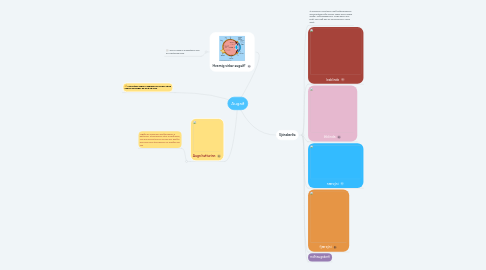 Mind Map: Augað