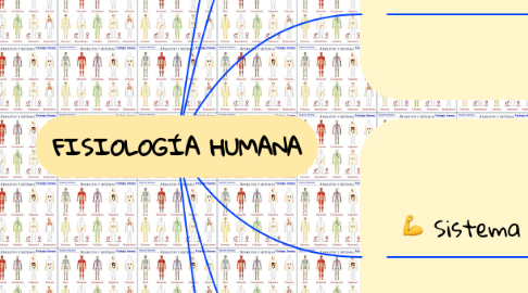 Mind Map: FISIOLOGÍA HUMANA
