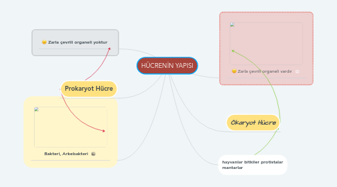 Mind Map: HÜCRENİN YAPISI