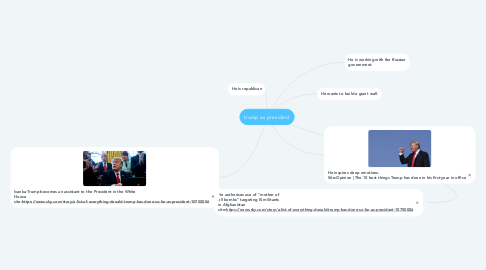 Mind Map: trump as president