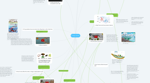 Mind Map: Energy Cycles