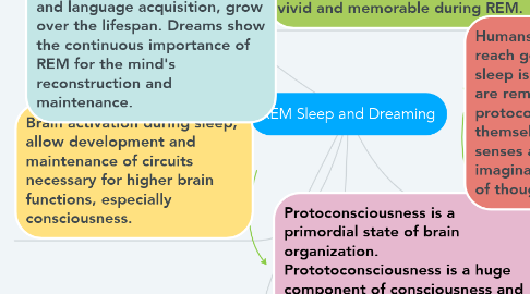 Mind Map: REM Sleep and Dreaming